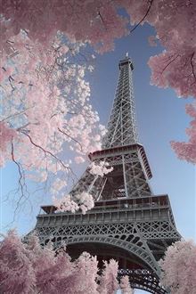 David Clapp - Eiffel Tower Infrared, Paris