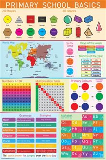 Primary School Basics