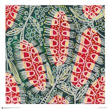 Julianne Wade - Bush Tucker and Medicines - 60x60