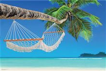 Beach - Hammock - Reg poster