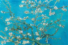 Van Gogh - Almond Blossom - Reg Poster