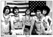 MC5 - Flag - Euro Poster